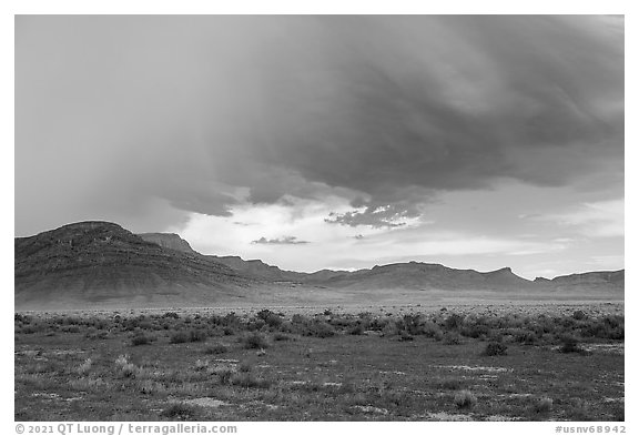 Clearing storm near Water Gap. Basin And Range National Monument, Nevada, USA (black and white)