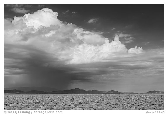 Storm cloud over Golden Gate Range. Basin And Range National Monument, Nevada, USA (black and white)