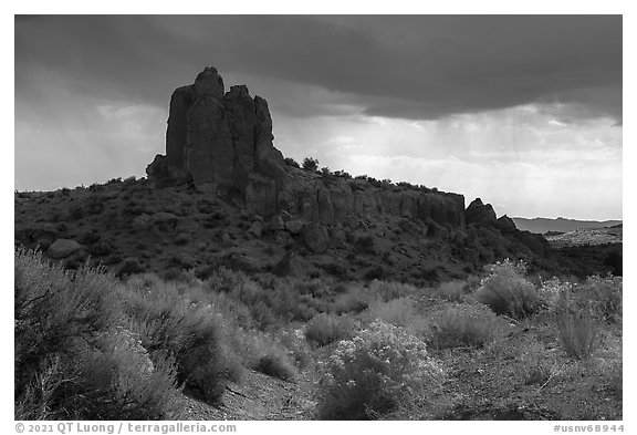 Blooms and rock pinnacle under stormy sky, Seaman Range. Basin And Range National Monument, Nevada, USA (black and white)