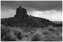 Blooms and rock pinnacle under stormy sky, Seaman Range. Basin And Range National Monument, Nevada, USA ( black and white)