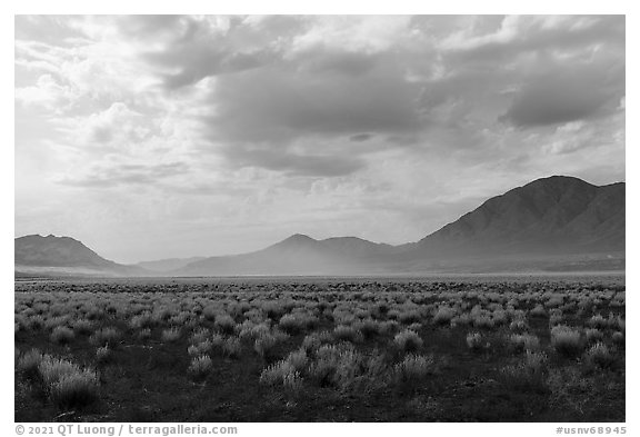 Clearing storm, Seaman Range. Basin And Range National Monument, Nevada, USA (black and white)