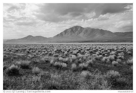 Sagebrush and Seaman Range mountains. Basin And Range National Monument, Nevada, USA (black and white)