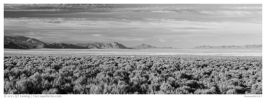 Coal Valley and Golden Gate Range. Basin And Range National Monument, Nevada, USA (black and white)