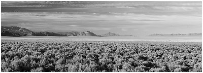 Coal Valley and Golden Gate Range. Basin And Range National Monument, Nevada, USA (Panoramic black and white)