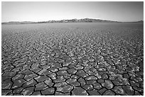 Ancient lakebed with cracked dried mud, sunrise, Black Rock Desert. Nevada, USA (black and white)