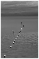 Orange Buoy line, blue hour, South Lake Tahoe, California. USA (black and white)
