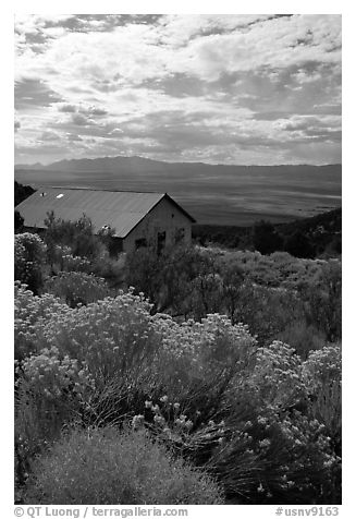 Sage in bloom and cabin, Snake Range. Nevada, USA (black and white)