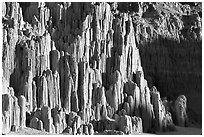 Cathedral-like spires, Cathedral Gorge State Park. Nevada, USA ( black and white)
