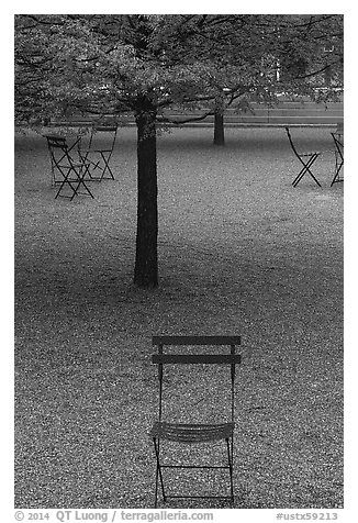 Chairs and trees in courtyard of Dallas Museum of Art. Dallas, Texas, USA (black and white)
