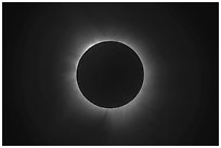 Protuberances and inner corona, April 8, 2024 total eclipse. Waco Mammoth National Monument, Texas, USA ( black and white)