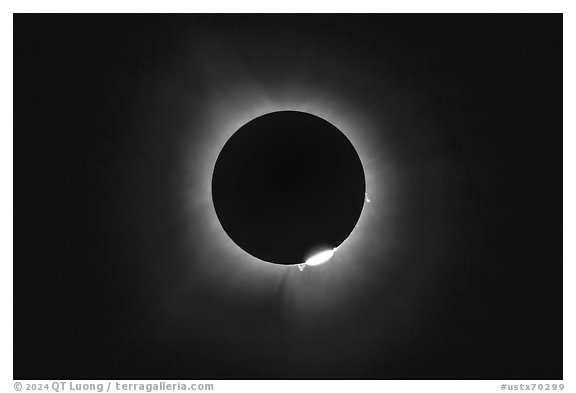 Diamond ring and protuberances,  April 8 2024 total eclipse. Waco Mammoth National Monument, Texas, USA (black and white)