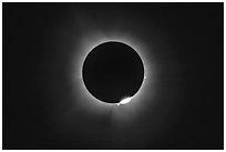 Diamond ring and protuberances,  April 8 2024 total eclipse. Waco Mammoth National Monument, Texas, USA ( black and white)