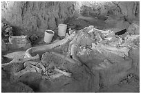 Dig site with Columbian mammoth bones. Waco Mammoth National Monument, Texas, USA ( black and white)