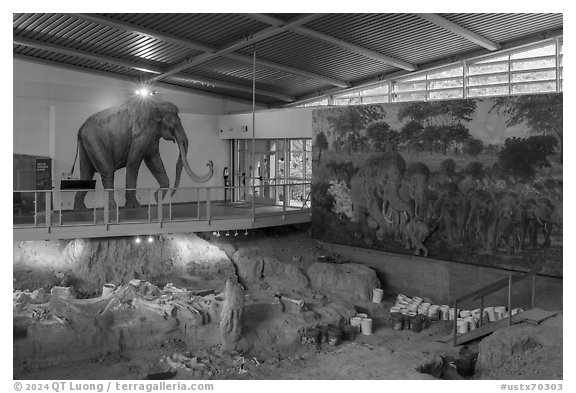 Dig shelter with life-size mammoth painting. Waco Mammoth National Monument, Texas, USA (black and white)