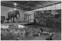 Dig shelter with life-size mammoth painting. Waco Mammoth National Monument, Texas, USA ( black and white)