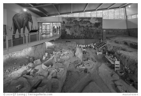 Dig shelter. Waco Mammoth National Monument, Texas, USA (black and white)