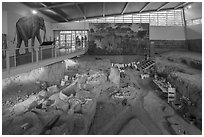 Pictures of Waco Mammoth National Monument