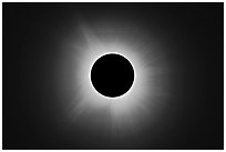 Corona streamers, April 8 2024 total eclipse. Waco Mammoth National Monument, Texas, USA ( black and white)