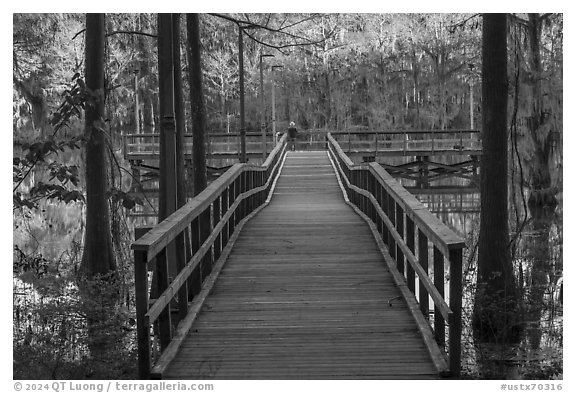 Pier, Saw Mill Pond, Caddo Lake State Park. Texas, USA (black and white)