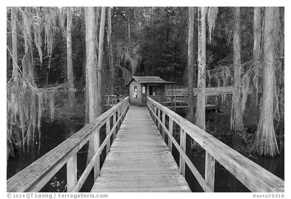 Boardwalk and boathouse, Caddo Lake State Park. Texas, USA (black and white)