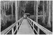 Boardwalk and boathouse, Caddo Lake State Park. Texas, USA ( black and white)