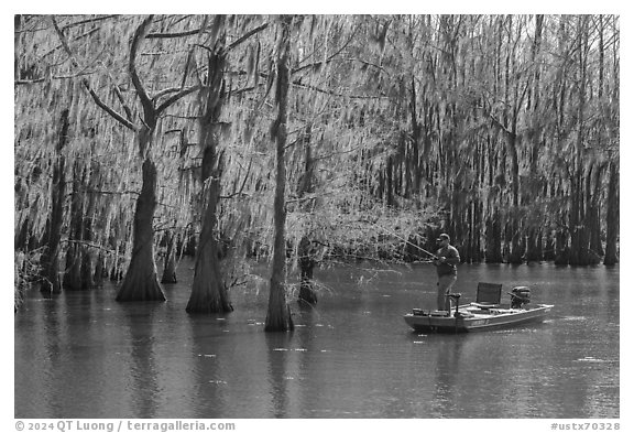 Fisherman, Caddo Lake. Texas, USA (black and white)