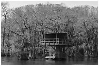 Treehouse, Caddo Lake. Texas, USA ( black and white)