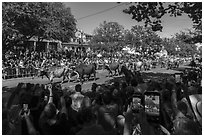 Tourists line up street for cow parade. Fort Worth, Texas, USA ( black and white)