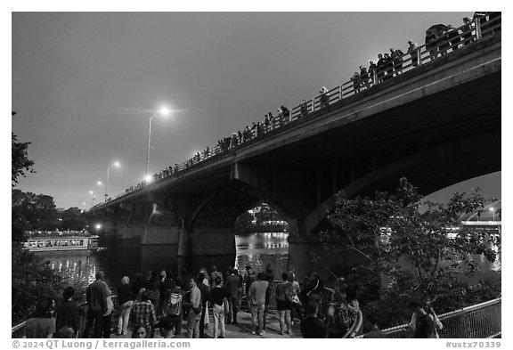 People gathered on Congress Bridge to watch bat fly. Austin, Texas, USA (black and white)