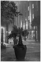 Night downpour in downtown. San Antonio, Texas, USA ( black and white)