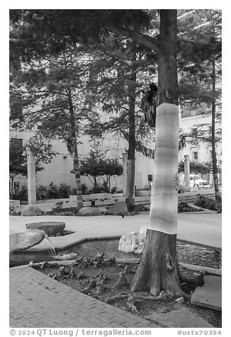 Main Street Civic Garden. Dallas, Texas, USA (black and white)