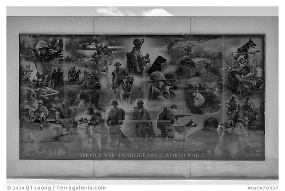 Mural with etched images of action during World War II, the Korean War, the Vietnam War, and Middle East wars, Military Working Dog Teams National Monument. San Antonio, Texas, USA (black and white)