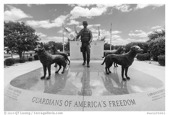 Doberman Pinscher, German Shepherd, Labrador Retrieverm, and Belgian Malinois surround dog handler, Military Working Dog Teams National Monument. San Antonio, Texas, USA (black and white)