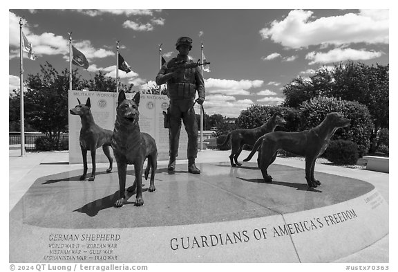 Guardians of America Freedom sculpture, Military Working Dog Teams National Monument. San Antonio, Texas, USA (black and white)