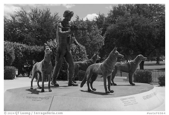 Bronze sculptures of four dogs and handler seated on granite pedestal, Military Working Dog Teams National Monument. San Antonio, Texas, USA (black and white)