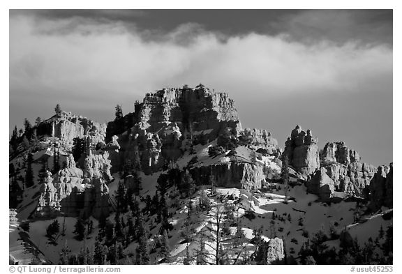 Hoodoos and cliffs in winter, Red Canyon. Utah, USA (black and white)