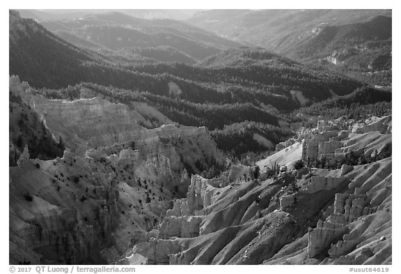 Eroded ridges and forest. Cedar Breaks National Monument, Utah, USA (black and white)