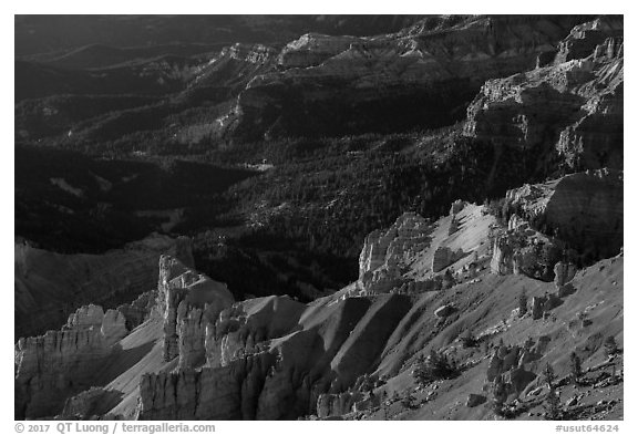 Hoodoos overlooking deep amphitheater. Cedar Breaks National Monument, Utah, USA (black and white)