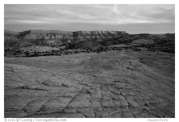 Looking down cross-bedded sandstone from Yellow Rock. Grand Staircase Escalante National Monument, Utah, USA (black and white)