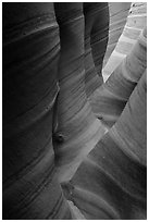 Sandstone with colorful striations, Zebra Slot Canyon. Grand Staircase Escalante National Monument, Utah, USA ( black and white)