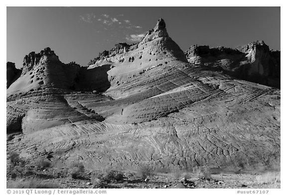 Sandstone spires. Grand Staircase Escalante National Monument, Utah, USA (black and white)