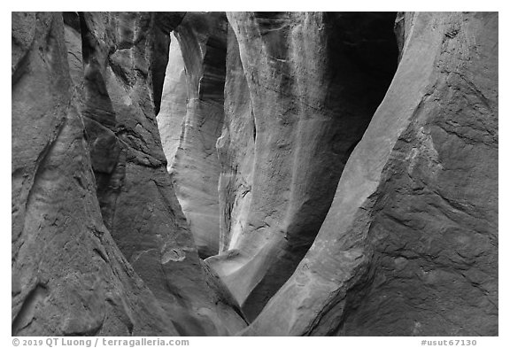Series of arches in Peek-a-Boo slot canyon. Grand Staircase Escalante National Monument, Utah, USA (black and white)