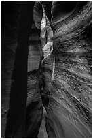 Textured walls, Spooky slot canyon, Dry Fork Coyote Gulch. Grand Staircase Escalante National Monument, Utah, USA ( black and white)