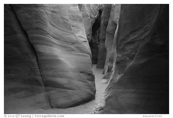 Canyon floor and walls, Spooky slot canyon. Grand Staircase Escalante National Monument, Utah, USA (black and white)