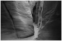 Canyon floor and walls, Spooky slot canyon. Grand Staircase Escalante National Monument, Utah, USA ( black and white)