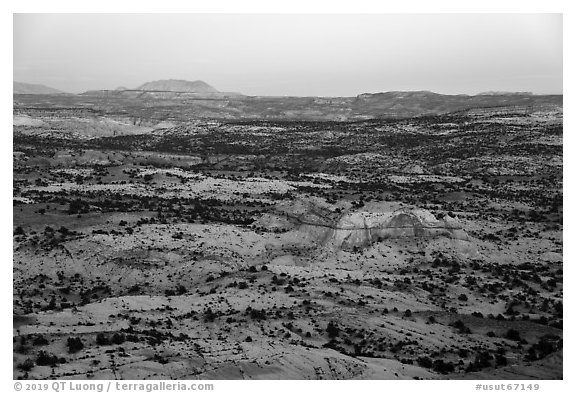Expanses of sandstone from Heads of the Rocks, sunset. Grand Staircase Escalante National Monument, Utah, USA (black and white)