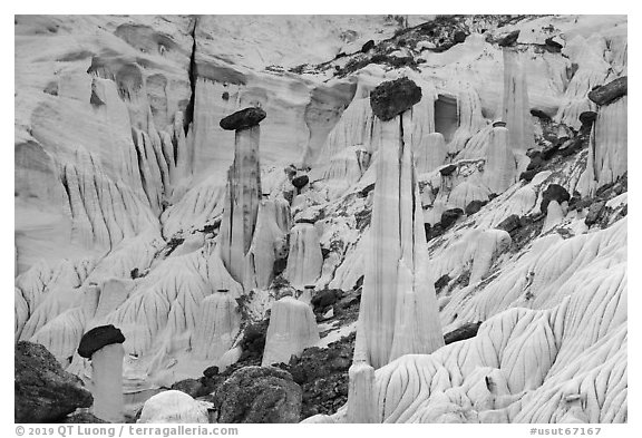 Group of silt stone caprocks called Towers of Silence. Grand Staircase Escalante National Monument, Utah, USA (black and white)