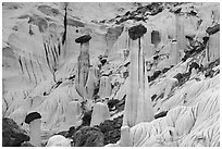 Group of silt stone caprocks called Towers of Silence. Grand Staircase Escalante National Monument, Utah, USA ( black and white)