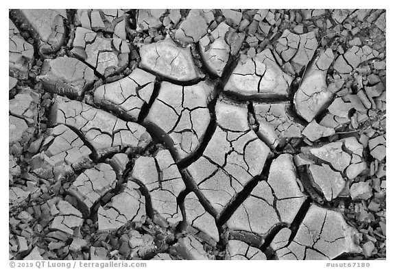 Cracked mud, Wahweap Wash. Grand Staircase Escalante National Monument, Utah, USA (black and white)