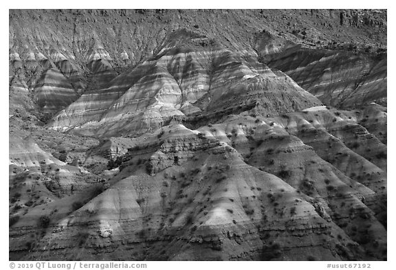 Chinle formation badlands, Old Paria. Grand Staircase Escalante National Monument, Utah, USA (black and white)